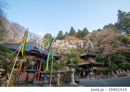 水沢観音 本堂と六角堂 群馬県 渋川市 水沢観音 本堂と六角堂 群馬県 渋川市 39802439