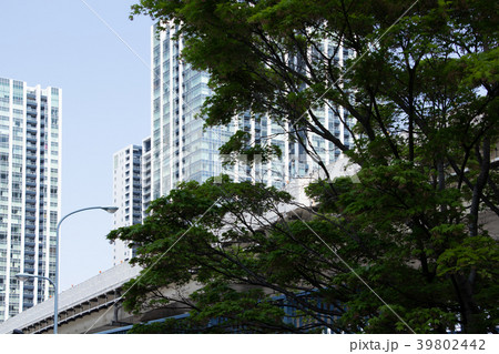 ビルと新緑 39802442