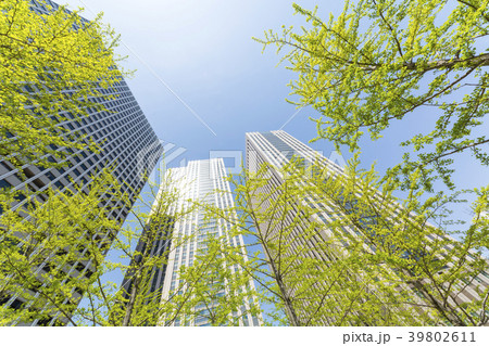 霞が関のタワービルディング 霞が関のタワービルディング 39802611