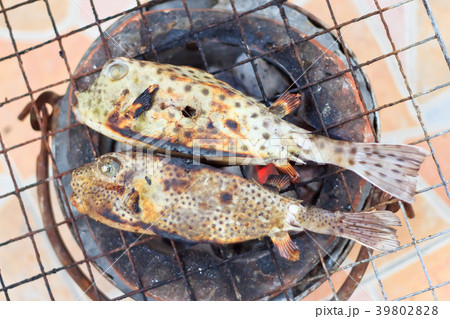Puffer on the grill 39802828