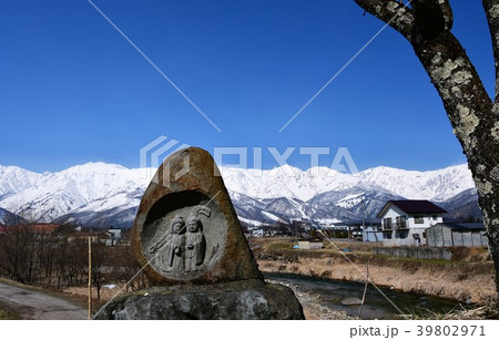 北アルプス白馬　白馬村　八方尾根 39802971