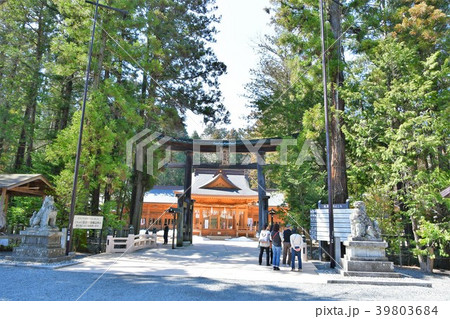 穂高神社　信州安曇野　穂高 39803684