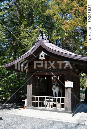 穂高神社 信州安曇野 穂高 穂高神社 信州安曇野 穂高 39803686