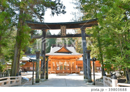 穂高神社　信州安曇野　穂高 39803688