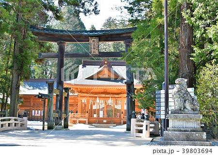 穂高神社　信州安曇野　穂高 39803694
