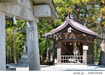 穂高神社 信州安曇野 穂高 穂高神社 信州安曇野 穂高 39803698