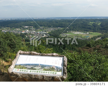 日和田山の金刀比羅神社二の鳥居からの眺め（巾着田） 39804171