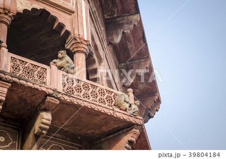 34586 34586 39804184