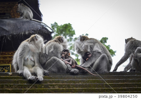 34648 34648 39804250