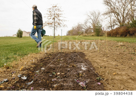 34861 34861 39804438