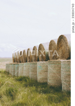 35310 35310 39804740