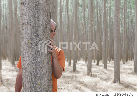 35347 39804876