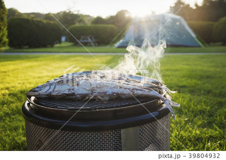 36527 36527 39804932