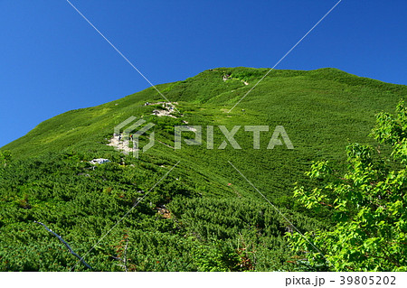 　夏の青空と仙丈ヶ岳 39805202