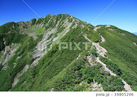 　夏の青空と仙丈ヶ岳 39805206