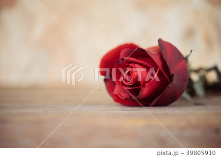 Red rose flower on wooden floor in Valentine's Day 39805910