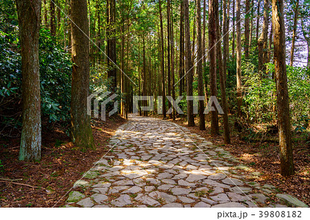 （静岡県）山中城址付近の箱根旧街道石畳 39808182