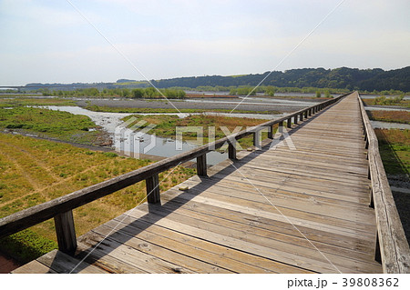 大井川　蓬莱橋　(ほうらいばし)　静岡県島田市 39808362