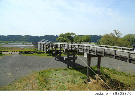 大井川　蓬莱橋　(ほうらいばし)　静岡県島田市 39808370