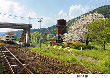 厳木駅の八重桜 39808638