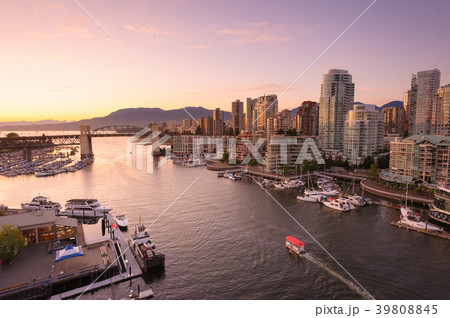 夕暮れのフォールスクリーク 夕暮れのフォールスクリーク 39808845