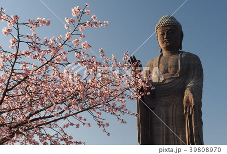 牛久大仏 牛久大仏 39808970