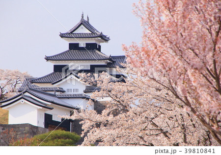 福島・白河小峰城と桜 39810841