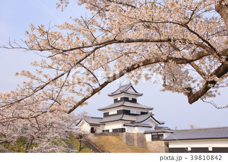 福島県・白河小峰城と桜 39810842