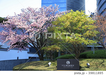 目黒雅叙園 (ホテル雅叙園東京) 目黒雅叙園 (ホテル雅叙園東京) 39811895