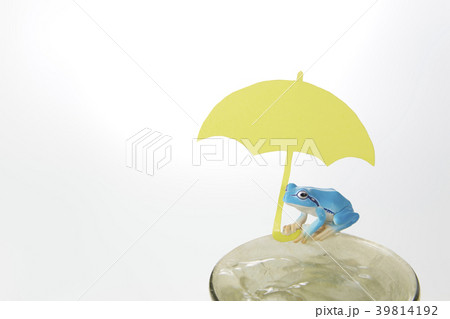 黄色い傘　カエル 39814192