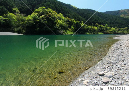 新緑のなかをみずみずしく流れ下る清流仁淀川 新緑のなかをみずみずしく流れ下る清流仁淀川 39815211