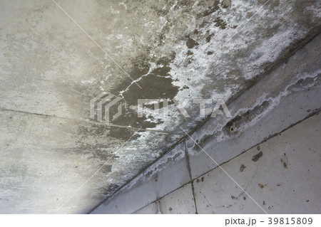 コンクリート 白樺現象 コンクリート 白樺現象 39815809