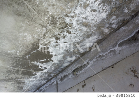 コンクリート　白樺現象 39815810