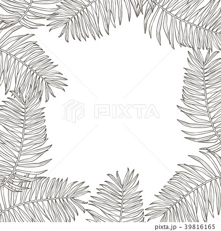 Summer tropical leaves vector design. Floral 39816165