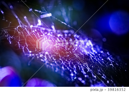 Spider web concepts. 39816352