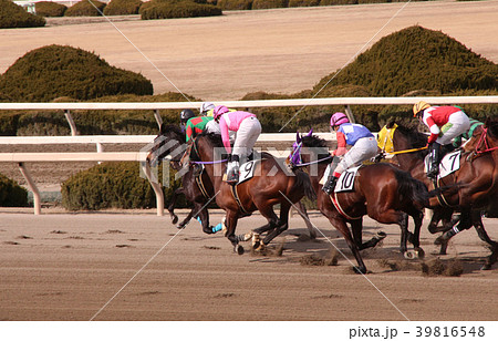 園田競馬場 39816548