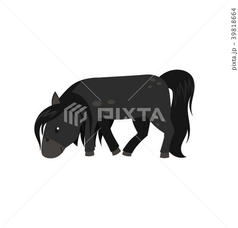 Beautiful Black Horse Pony Vector Illustration Onのイラスト素材