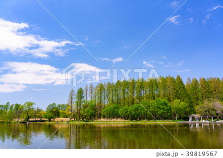 (東京都)春の水元公園 (東京都)春の水元公園 39819567