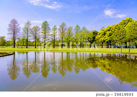 (東京都)春の水元公園 (東京都)春の水元公園 39819693