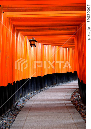 伏見稲荷の千本鳥居 伏見稲荷の千本鳥居 39820007