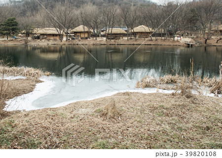 池 龍仁市 鳥 39820108