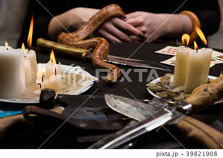 snake crawls to the table in front of the witch snake crawls to the table in front of the witch 39821908
