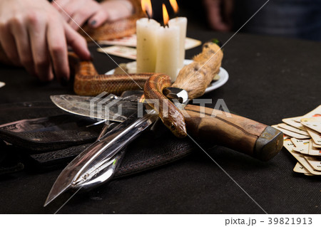 Witch lets the snake crawl on ritual knives 39821913