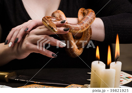 A woman will hold her hand to a snakeの写真素材 [39821925] - PIXTA