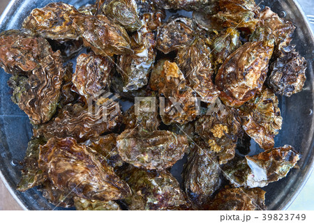 closeup of oyster shells for diner closeup of oyster shells for diner 39823749