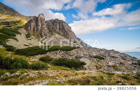 Mountain Landscape Mountain Landscape 39825056