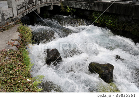 富士宮 神田川 富士宮 神田川 39825561