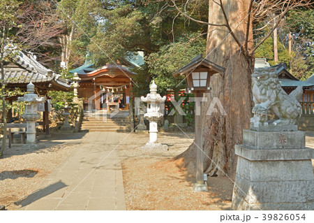 岩槻散歩:久伊豆神社 拝殿 岩槻散歩:久伊豆神社 拝殿 39826054