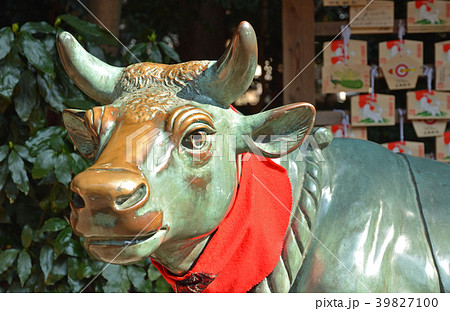 岩槻散歩：久伊豆神社　北野天満宮・撫で牛 39827100