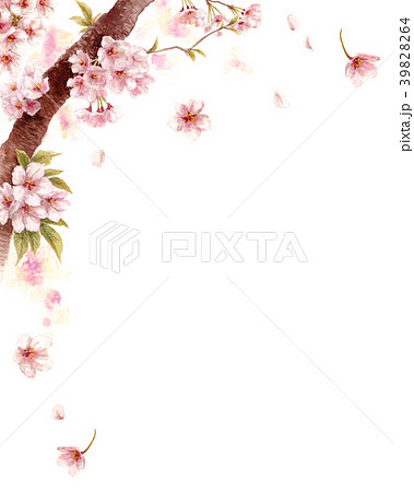 水彩で描いた桜の枝に咲く花のイラスト素材 3964